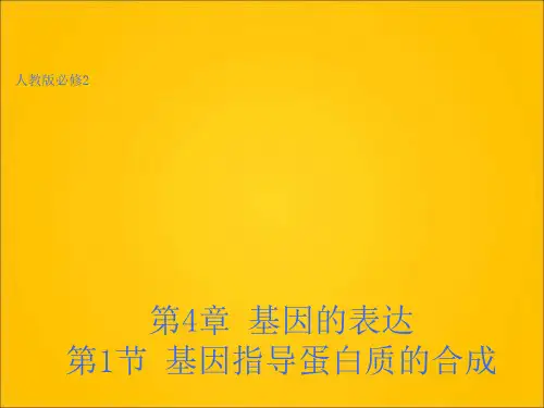 第四章 基因的表达   教学课件 PPT (全.)