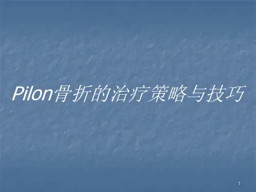 骨折的治疗策略与技巧ppt课件