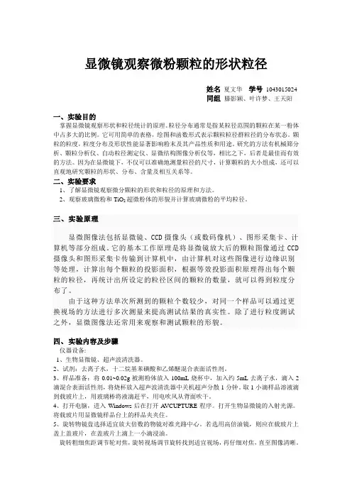 XWH显微观察微粉颗粒的形状粒径
