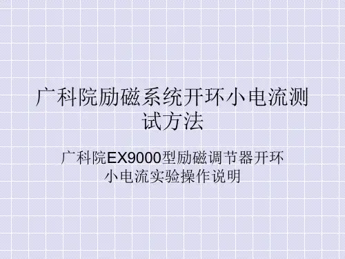 广科院励磁系统开环小电流测试方法