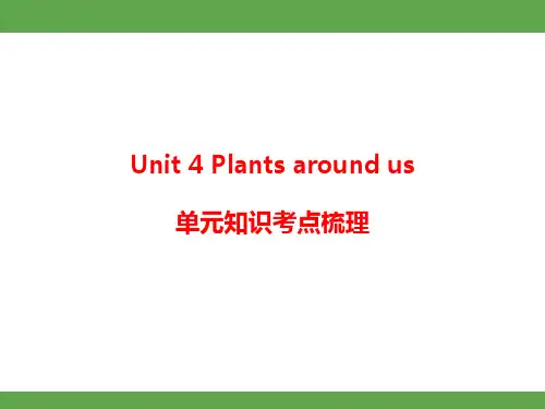 人教PEP英语2024)三年级上册Unit 4 Plants around us  单元知识考点梳理