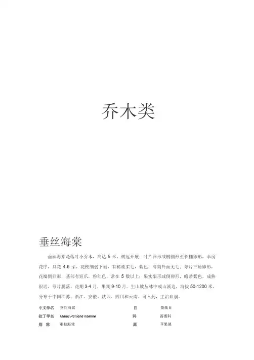 植物分类