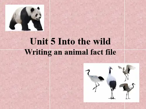【课件】新外研版 必修一 Unit 5 Into the wild- W