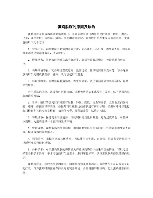蛋鸡脱肛的原因及诊治