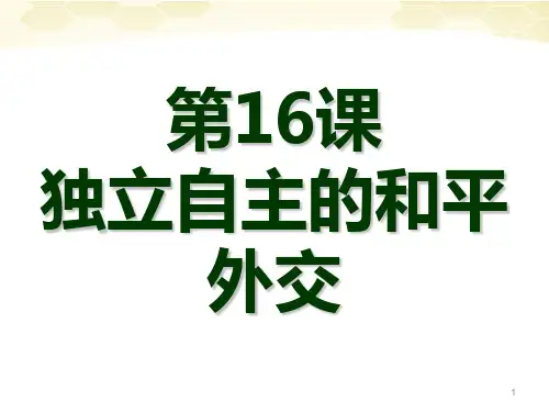 《独立自主的和平外交》PPT课件