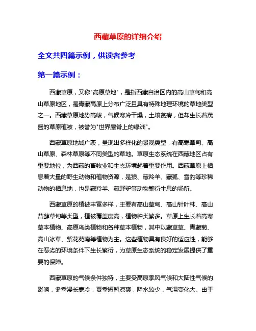 西藏草原的详细介绍