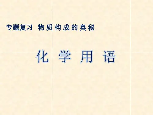 中考化学专题复习：化学用语 20张PPT