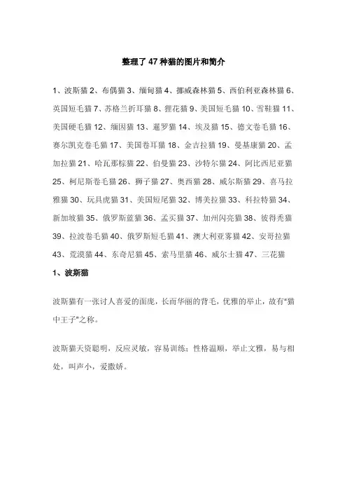 猫有哪些品种