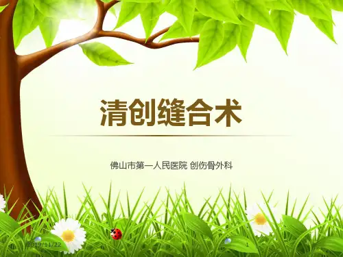 清创缝合 术PPT课件