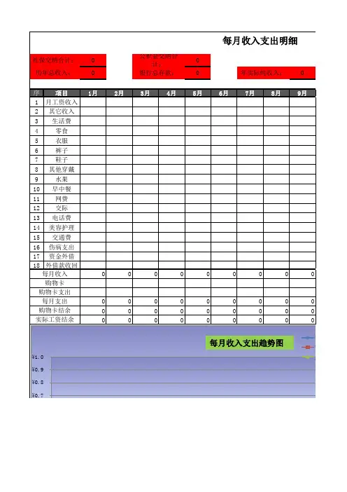 个人收支明细表