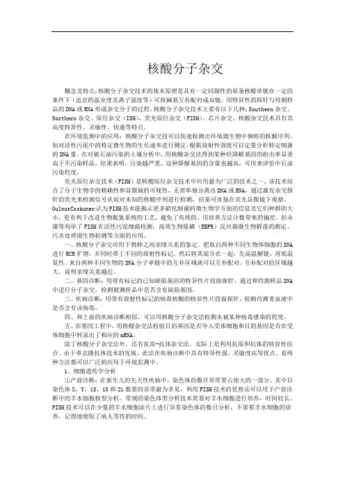 核酸分子杂交