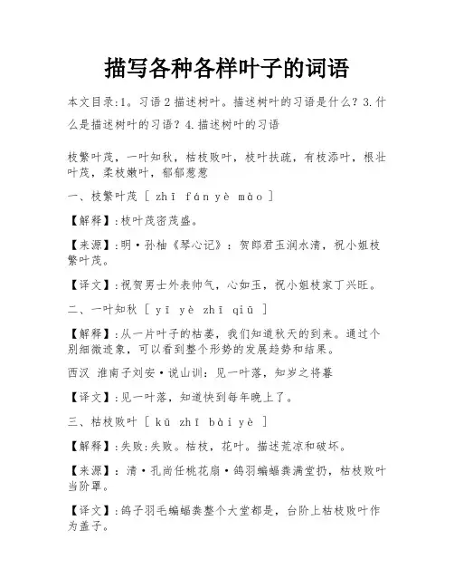 描写各种各样叶子的词语