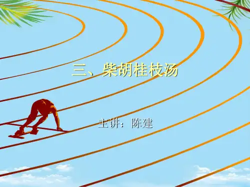 【精】三柴胡桂枝汤
