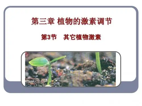 第3节 其他植物激素 ppt