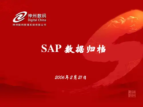 SAP 数据归档