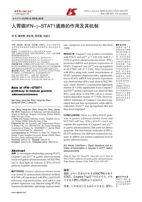 人胃癌IFN-γ-STAT1通路的作用及其机制