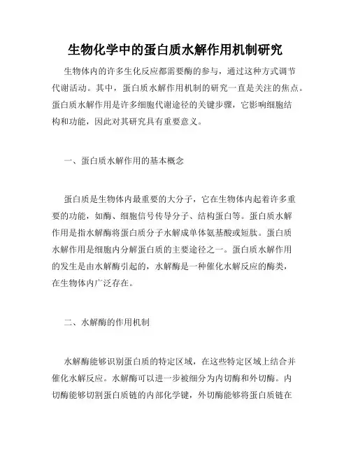 生物化学中的蛋白质水解作用机制研究
