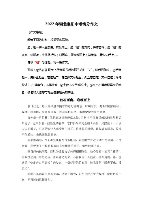 2022年湖北襄阳中考满分作文《破石而出,迎难而上》