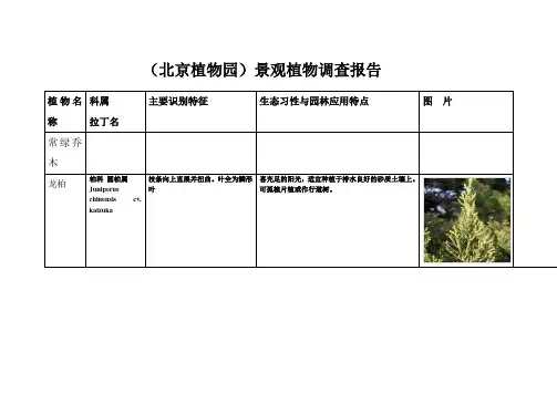 景观植物调查报告