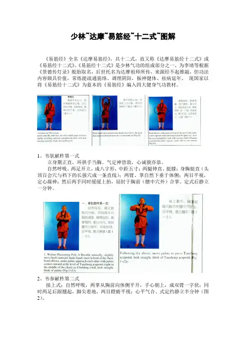 达摩少林易筋经图解