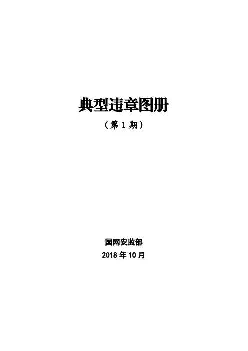 典型违章汇编(第1期)