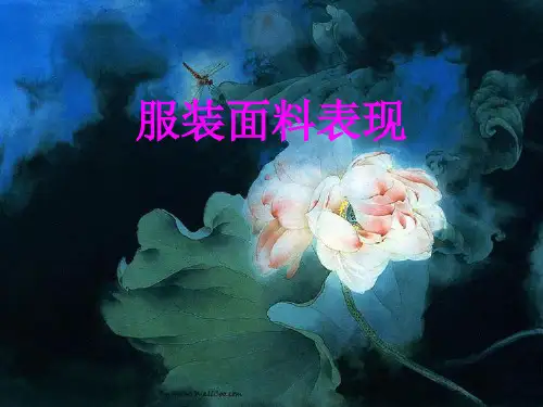 服装面料表现