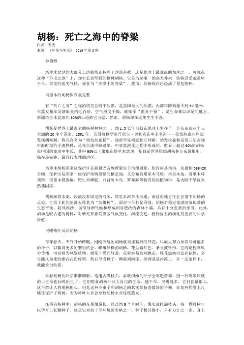 胡杨：死亡之海中的脊梁
