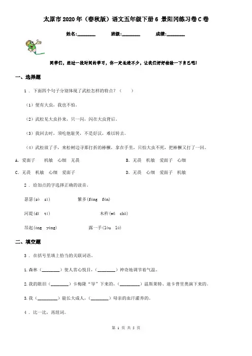 太原市2020年(春秋版)语文五年级下册6 景阳冈练习卷C卷