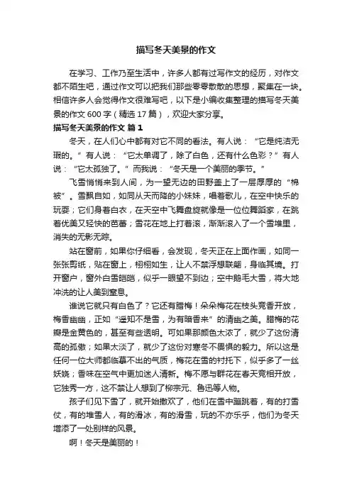 描写冬天美景的作文600字（精选17篇）