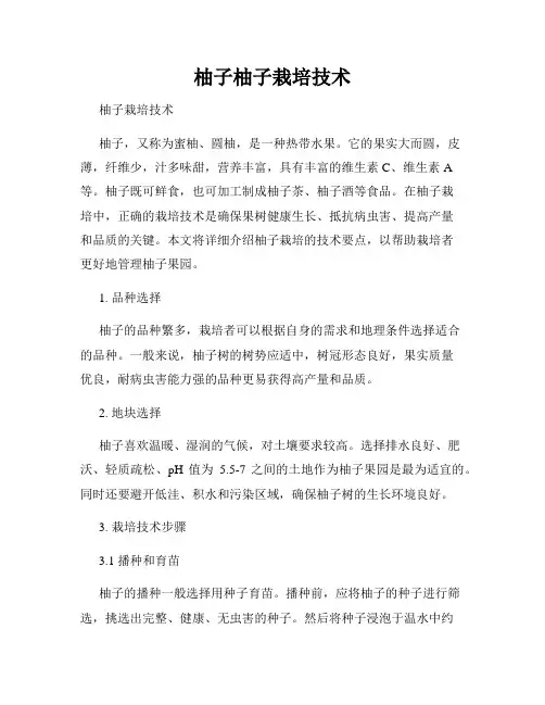 柚子柚子栽培技术