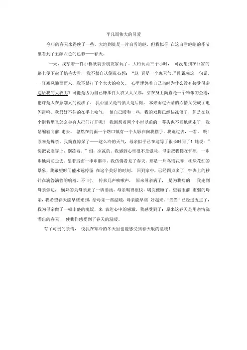 我的母亲2