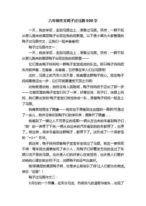 六年级作文鸭子过马路500字