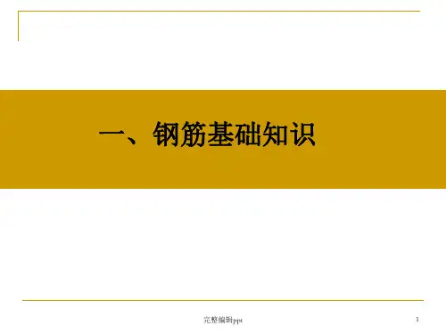 钢筋识图(手把手教你)ppt课件