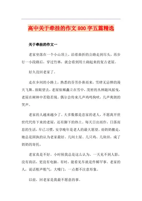 高中关于牵挂的作文800字五篇精选