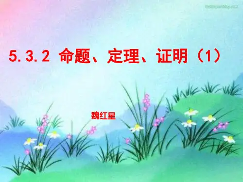 《532命题、定理、证明(1)》课件