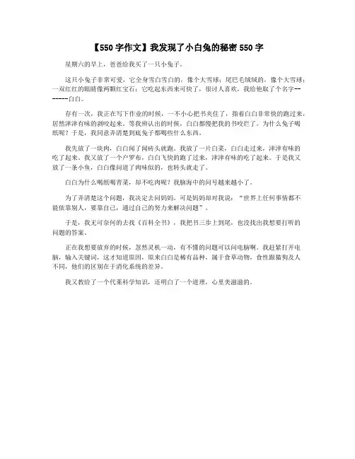 【550字作文】我发现了小白兔的秘密550字