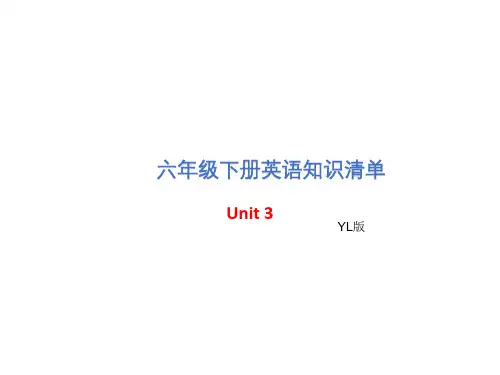 译林版(三起)六年级下册英语Unit3单元知识汇总 (共7张PPT)