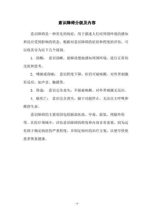 意识障碍分级及内容