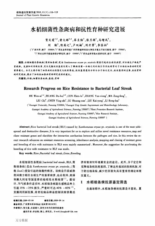 水稻细菌性条斑病和抗性育种研究进展