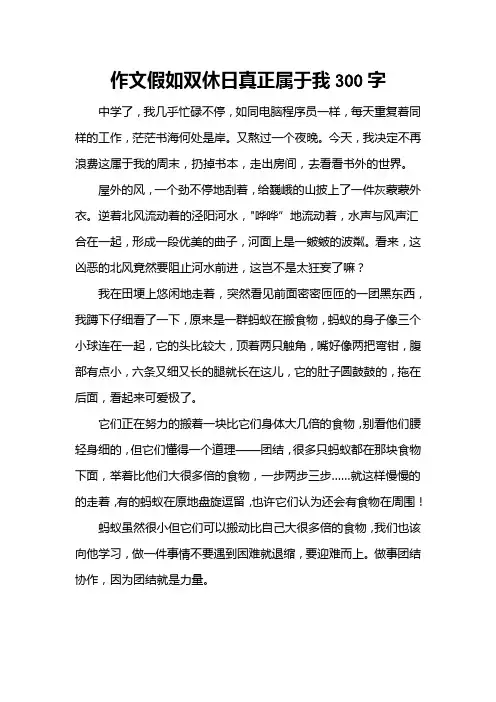 作文假如双休日真正属于我300字