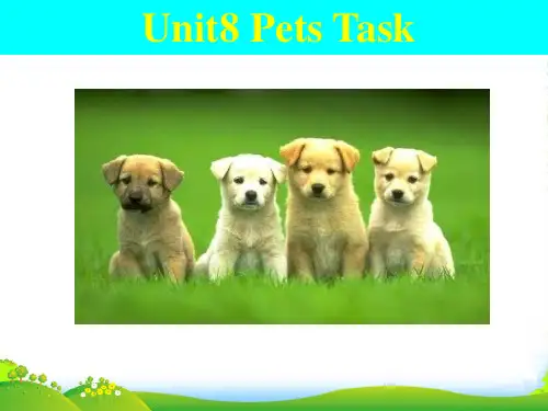 新牛津译林版七年级英语下册Unit8 Pets Task 优课件(共19张PPT)