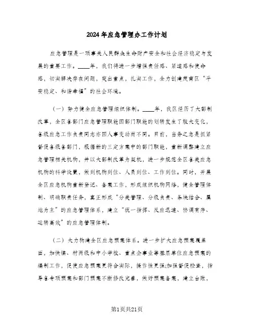2024年应急管理办工作计划（五篇）