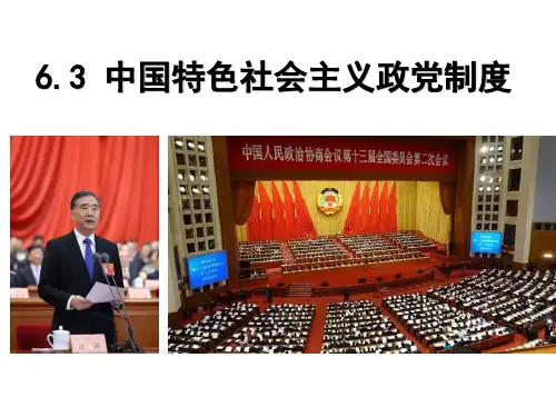 高中政治人教版必修二 6.3  中国特色社会主义政党制度 课件(共30张PPT)