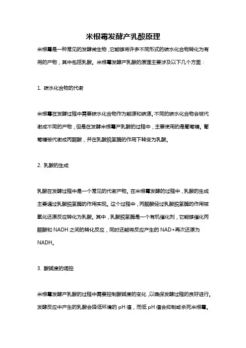 米根霉发酵产乳酸原理
