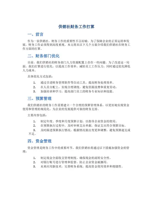 供销社财务工作打算