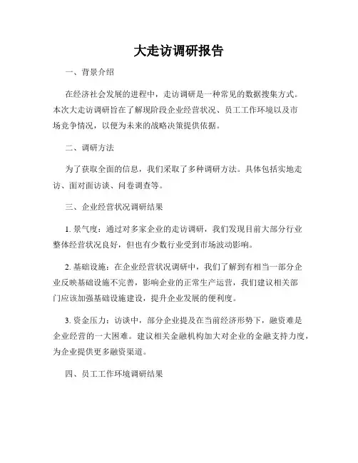 大走访调研报告