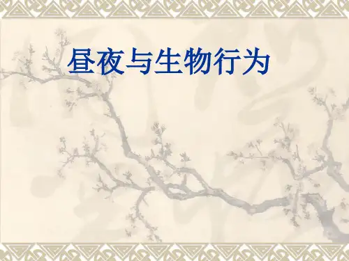 四年级上册科学课件-16昼夜与生物行为｜冀教版共13张PPT