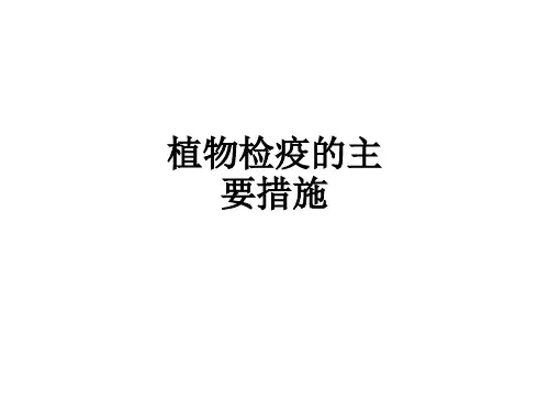 植物检疫的主要措施ppt课件