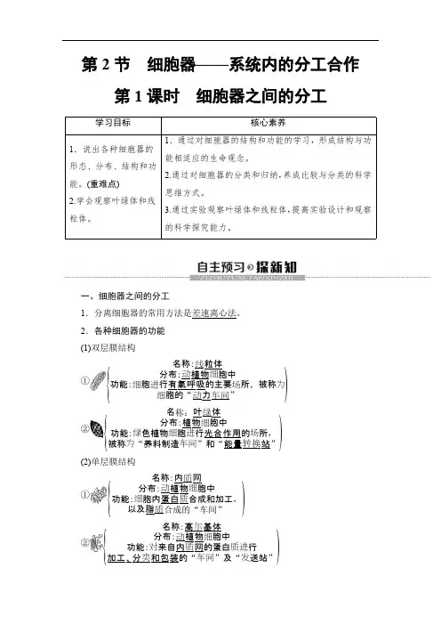 2019-2020学年人教版生物必修一讲义：第3章 第2节 第1课时 细胞器之间的分工 Word版含答案.pdf