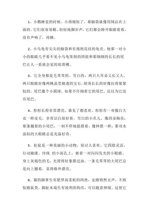 描写小动物的优美片段
